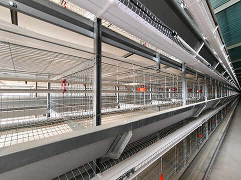 Broiler Cage