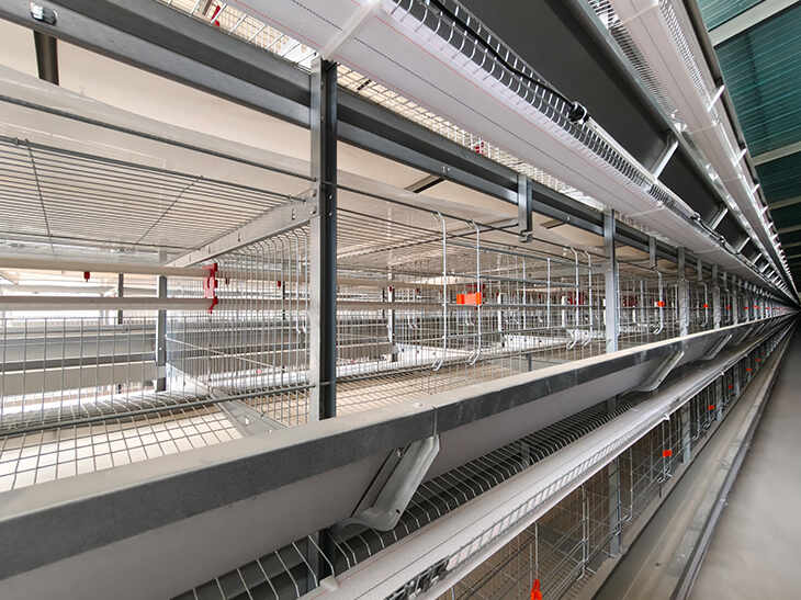 Broiler Cage