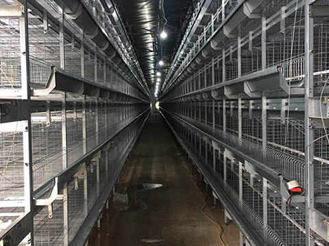 Using Cage Equipment?