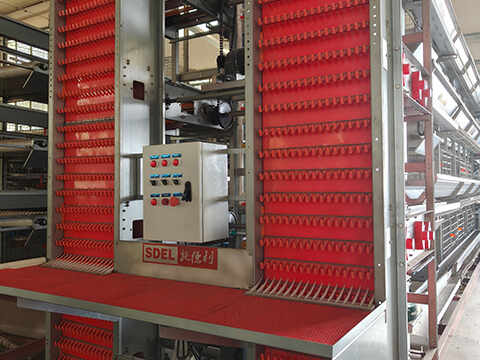 Egg Collection System