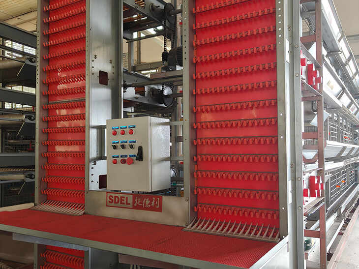 Egg Collection System