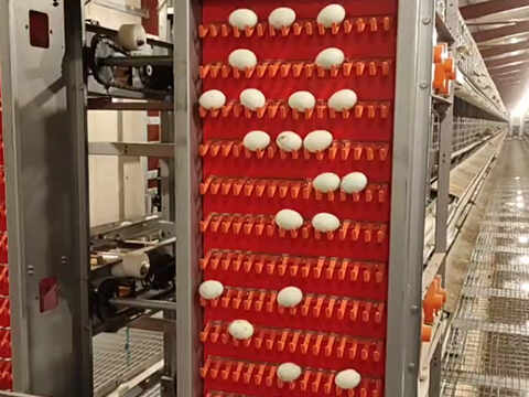 Feeding System