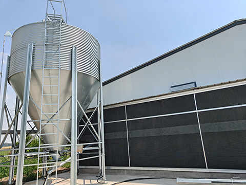 Feeding System