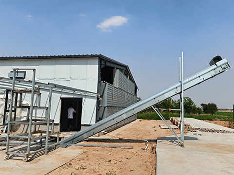 Manure Conveyor System