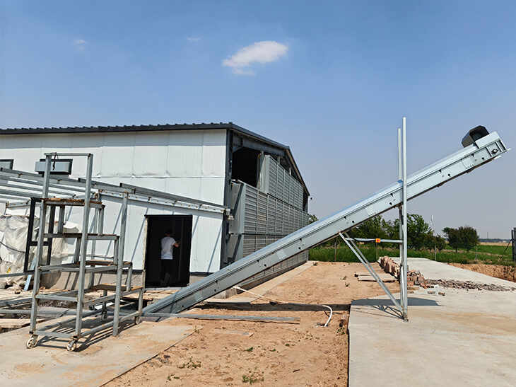 Manure Conveyor System