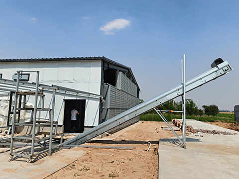Manure-Conveyor-System05