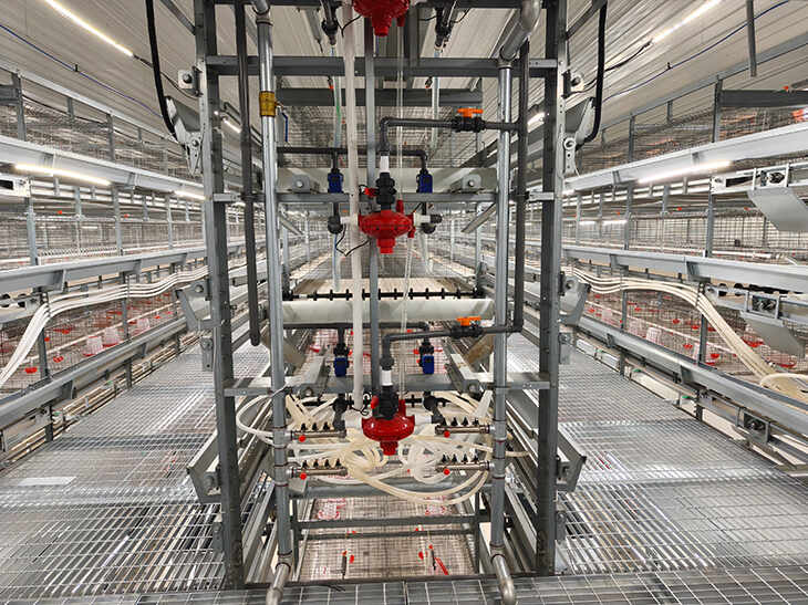 Pullet Cage