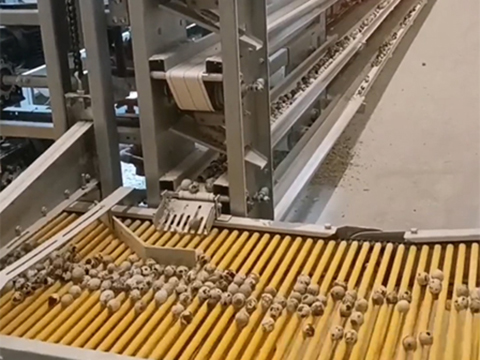 quail-cage-system