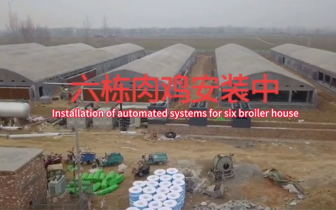Installation Of Automated Systems For Six Broiler Houses