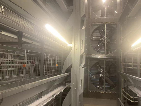 Lighting and Ventilation for Automated Battery cage
